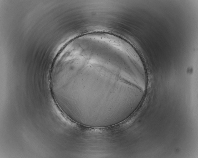X0000112360806200909101255
