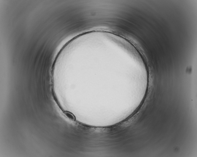 X0000112360808200909101255