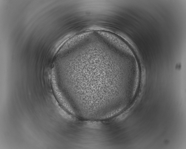 X0000112360809200909101255