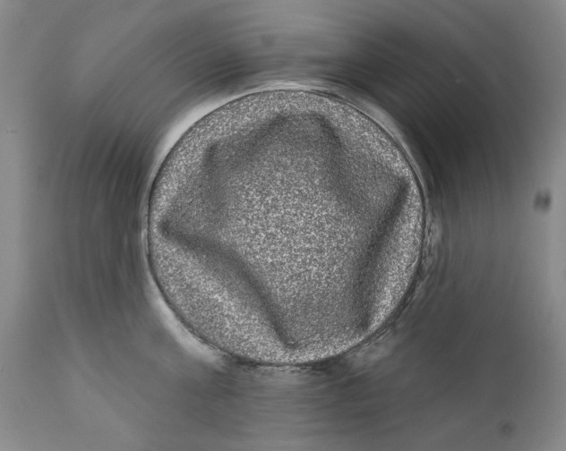 X0000112360811200909101255