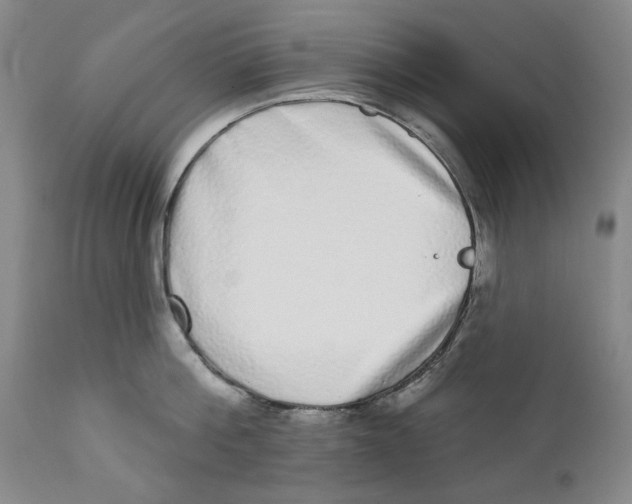 X0000112360812200909101255