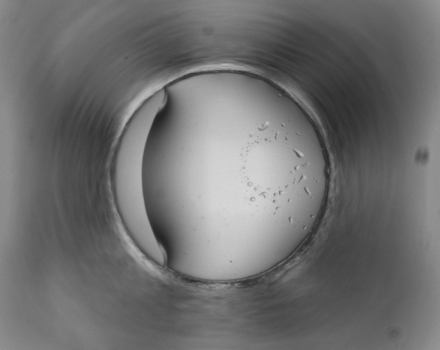 X0000112360813200909101255