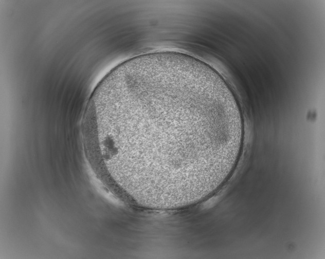 X0000112360814200909101255