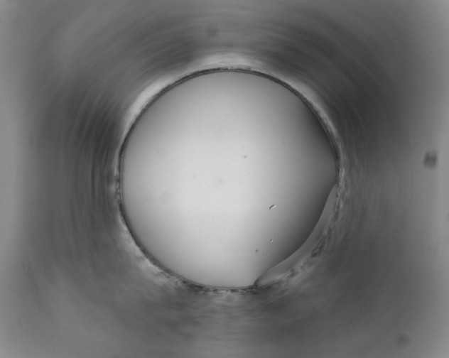 X0000112360815200909101255