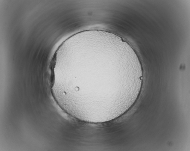 X0000112360816200909101255