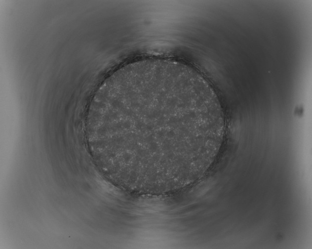 X0000112360817200909101254