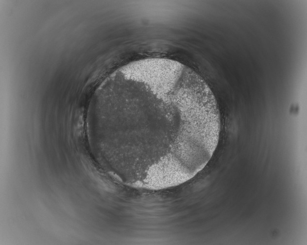 X0000112360818200909101254