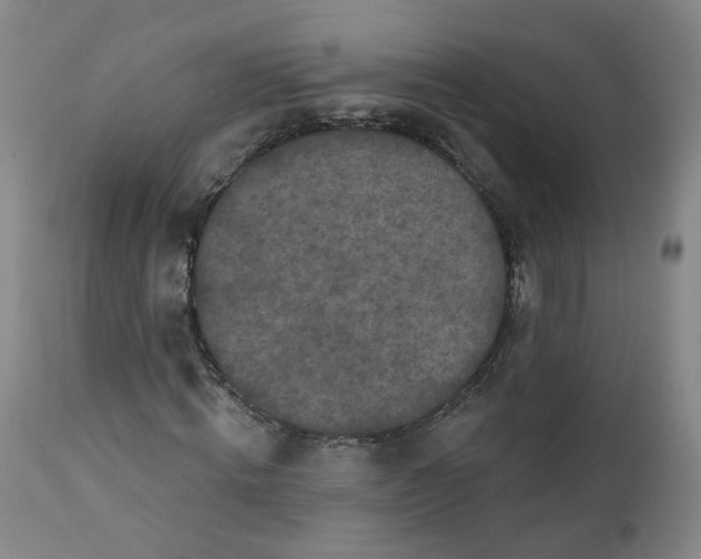 X0000112360820200909101254