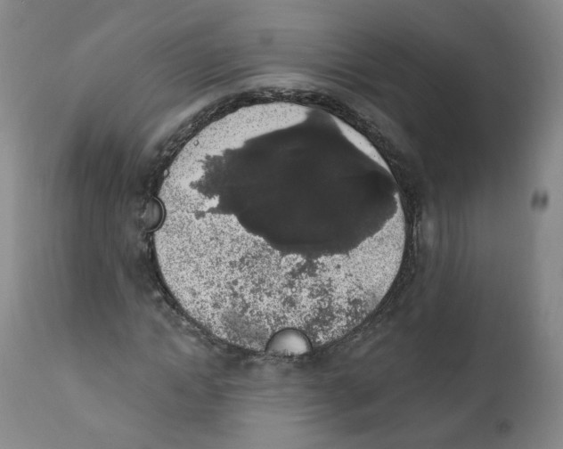 X0000112360822200909101254