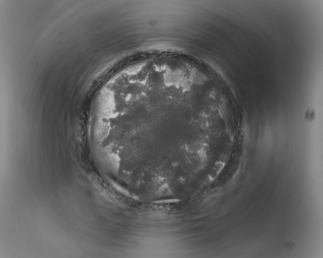 X0000112360823200909101254