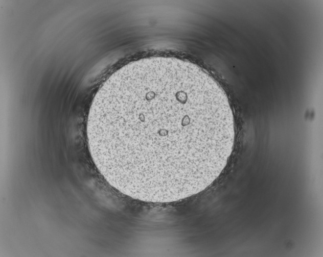 X0000112360824200909101254