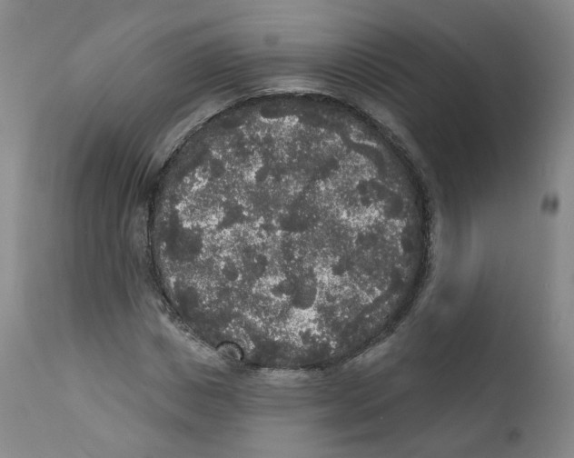 X0000112360825200909101254