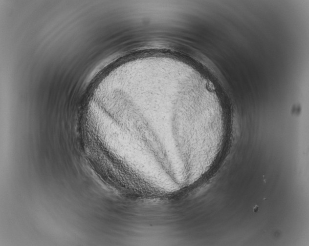 X0000112360826200909101254