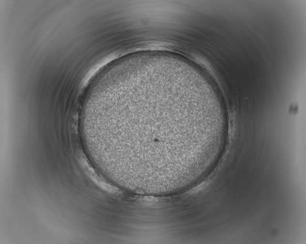 X0000112360827200909101254
