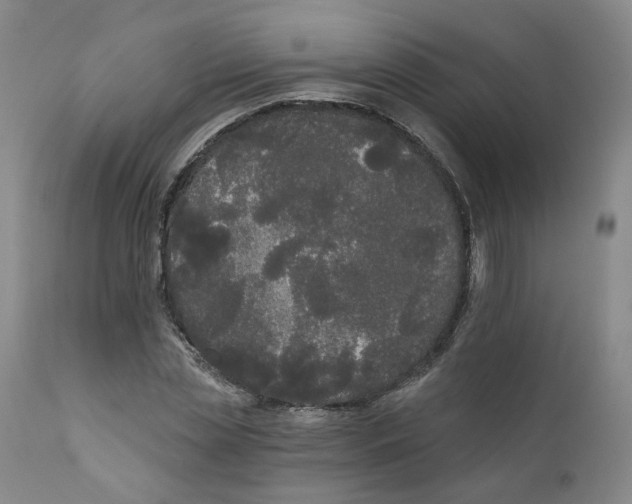 X0000112360829200909101254