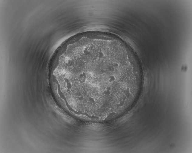 X0000112360830200909101254
