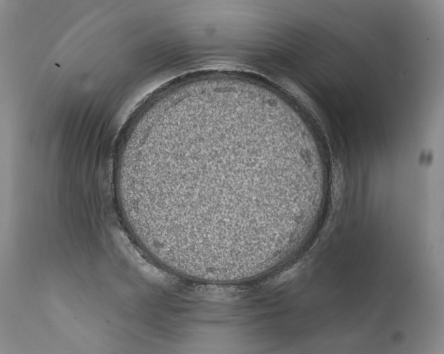 X0000112360831200909101254