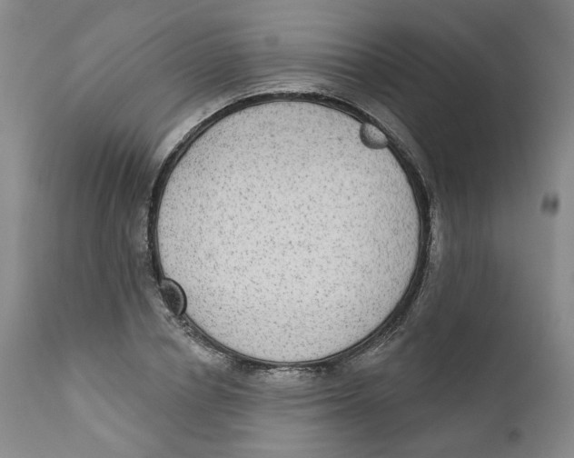 X0000112360834200909101254