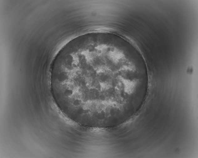 X0000112360835200909101254