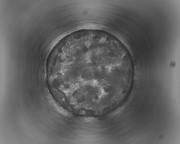 X0000112360837200909101254