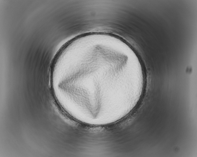 X0000112360838200909101254