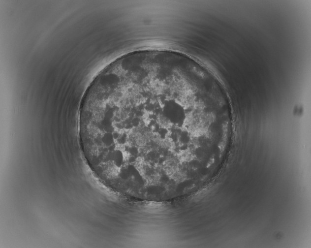 X0000112360839200909101254