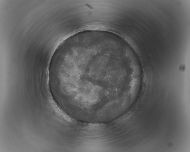 X0000112360840200909101254
