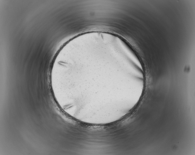 X0000112360846200909101254
