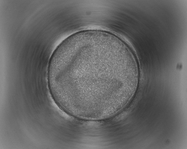 X0000112360847200909101254