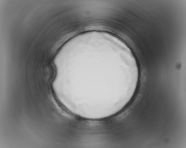 X0000112360849200909101254