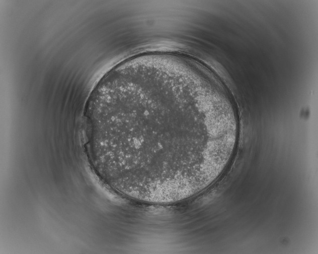 X0000112360850200909101254