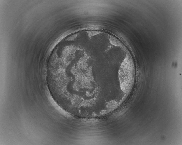 X0000112360851200909101254