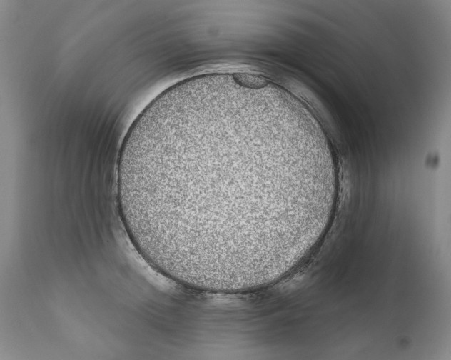 X0000112360852200909101255