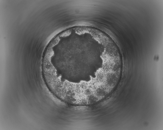 X0000112360853200909101255