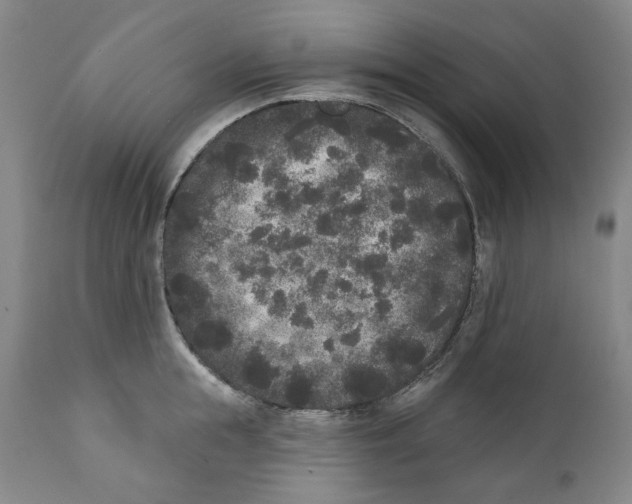 X0000112360855200909101255