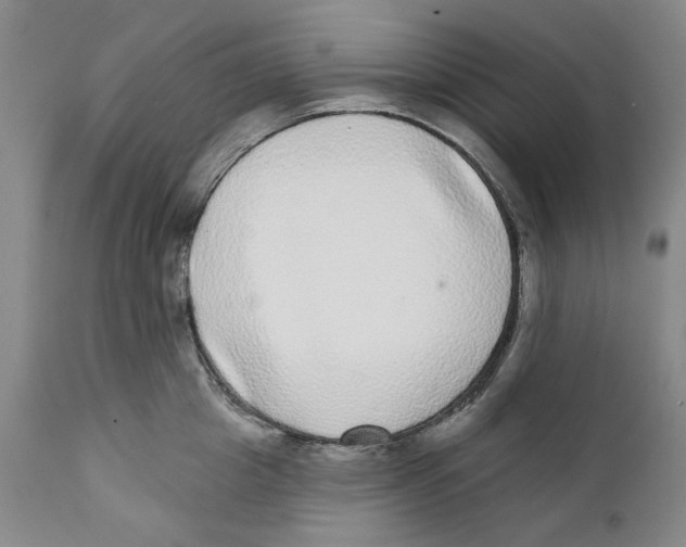 X0000112360857200909101255