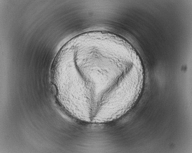 X0000112360858200909101255
