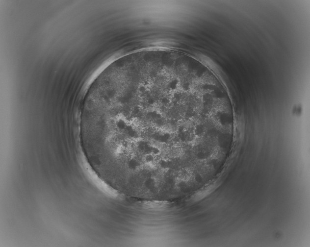X0000112360859200909101255