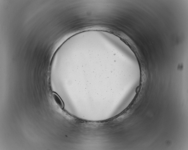 X0000112360860200909101255