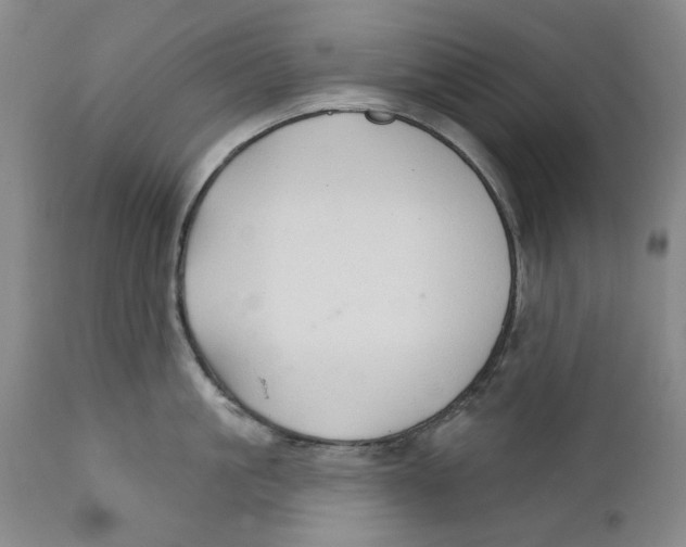 X0000112360861200909101255