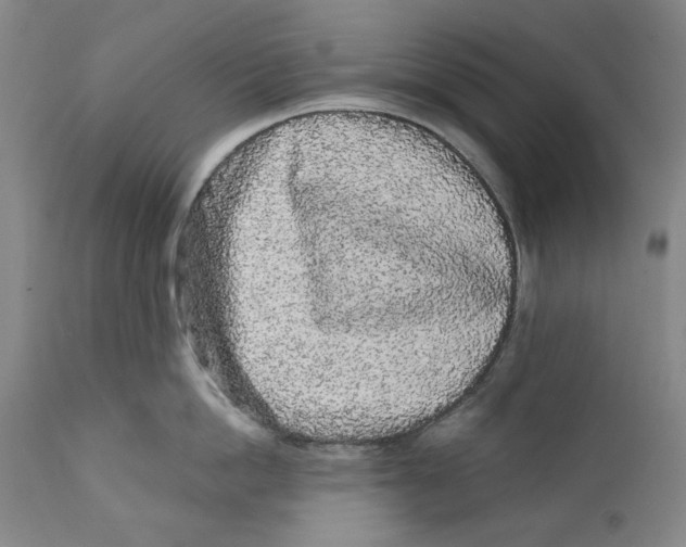 X0000112360862200909101255