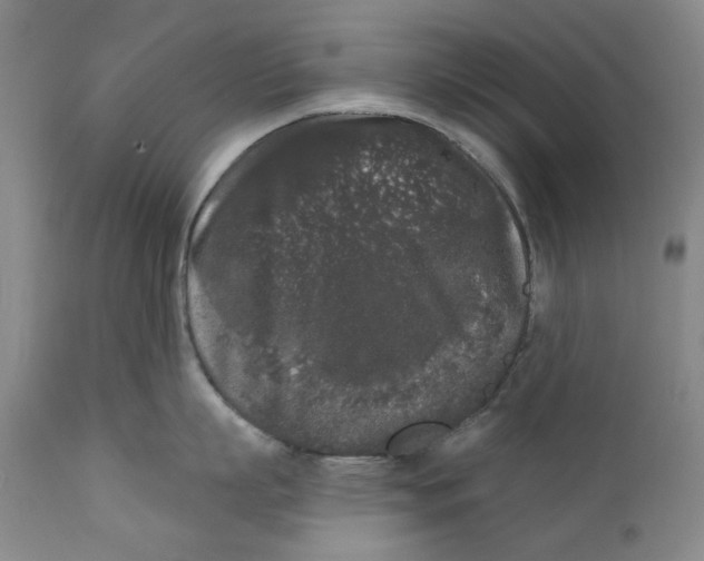 X0000112360863200909101255