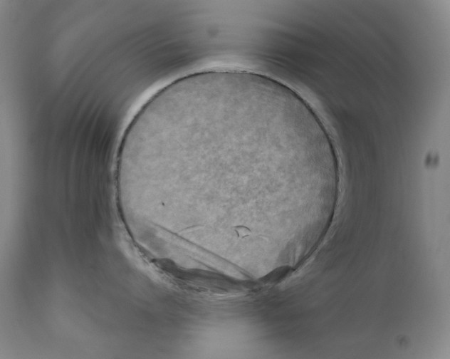 X0000112360864200909101255