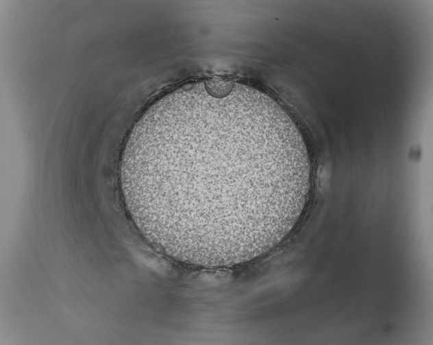 X0000112360865200909101254