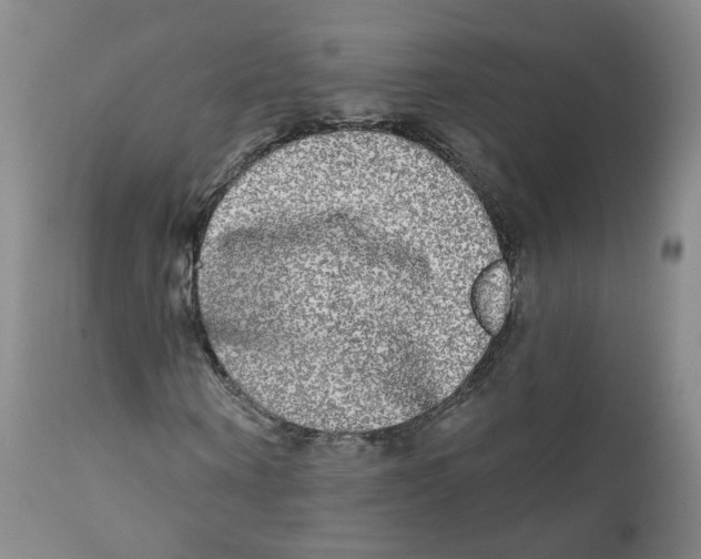 X0000112360866200909101254