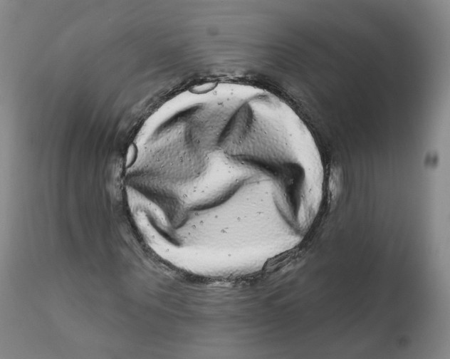 X0000112360867200909101254