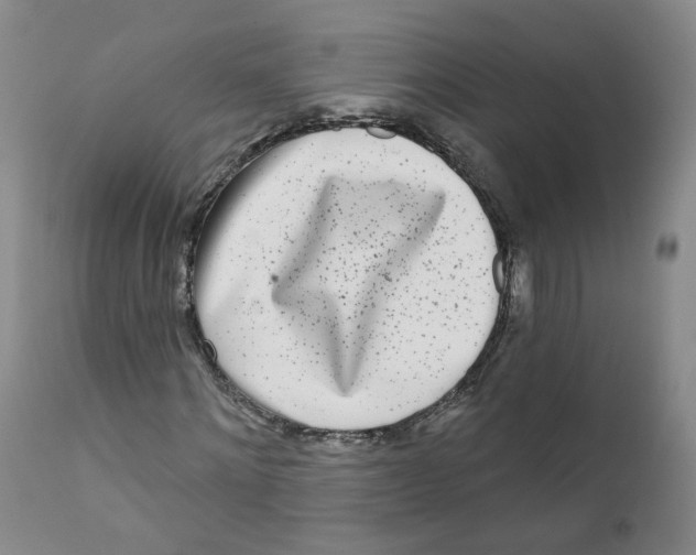 X0000112360868200909101254