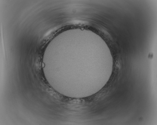 X0000112360869200909101254