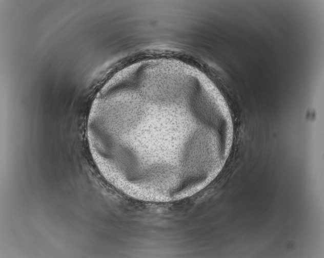 X0000112360870200909101254