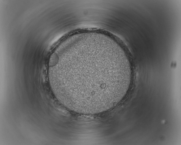 X0000112360871200909101254